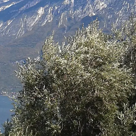Gardablick Lägenhet Tignale