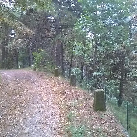 Gardablick Lägenhet Tignale